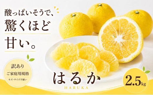 ＜訳あり 愛媛県産はるか 合計約2.5kg＞『2027年2月上旬～3月下旬迄に順次出荷予定』 上品な甘さ 甘い あまい 果汁 果物 くだもの フルーツ みかん オレンジ 柑橘 人気柑橘 特産品 株式会社OSN 愛媛県 西予市 【常温】