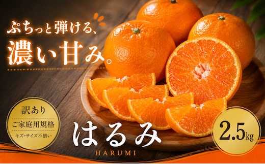 ＜訳あり 愛媛県産はるみ 合計約2.5kg＞『2027年2月上旬～3月下旬迄に順次出荷予定』甘い ご家庭用 果汁 果物 くだもの フルーツ みかん オレンジ 柑橘 人気柑橘 特産品 株式会社OSN 愛媛県 西予市 【常温】