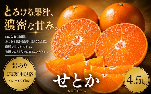 ＜訳あり 愛媛県産せとか 合計約4.5kg＞『2027年2月上旬～5月上旬迄に順次出荷予定』 セトカ とろける 甘い ご家庭用 果汁 果物 くだもの フルーツ みかん オレンジ 柑橘 人気柑橘 特産品 株式会社OSN 愛媛県 西予市 【常温】