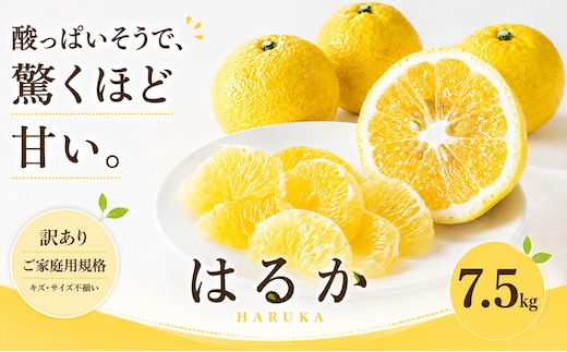 ＜訳あり 愛媛県産はるか 合計約7.5kg＞『2027年2月上旬～3月下旬迄に順次出荷予定』 上品な甘さ 甘い あまい 果汁 果物 くだもの フルーツ みかん オレンジ 柑橘 人気柑橘 特産品 株式会社OSN 愛媛県 西予市 【常温】