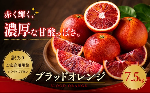 ＜訳あり 愛媛県産ブラッドオレンジ 合計約7.5kg＞『2027年2月下旬～4月上旬迄に順次出荷予定』 赤い 果肉 濃厚 甘い ご家庭用 果汁 果物 くだもの フルーツ みかん オレンジ 柑橘 人気柑橘 特産品 株式会社OSN 愛媛県 西予市 【常温】