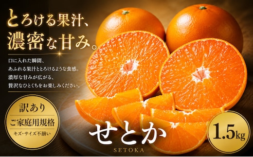 ＜訳あり 愛媛県産せとか 合計約1.5kg＞『2027年2月上旬～5月上旬迄に順次出荷予定』 セトカ とろける 甘い ご家庭用 果汁 果物 くだもの フルーツ みかん オレンジ 柑橘 人気柑橘 特産品 株式会社OSN 愛媛県 西予市 【常温】