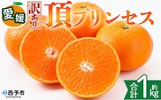 ＜【訳あり】愛媛県産 頂プリンセス 約1kg＞『2027年2月下旬～4月上旬迄に順次発送予定』 わけあり 訳アリ 高級柑橘 こうきゅう みかん 蜜柑 果物 くだもの フルーツ ミカン ぷるぷる とろける 食感 果汁 国産 株式会社三代目みかん職人 愛媛県 西予市【冷蔵】