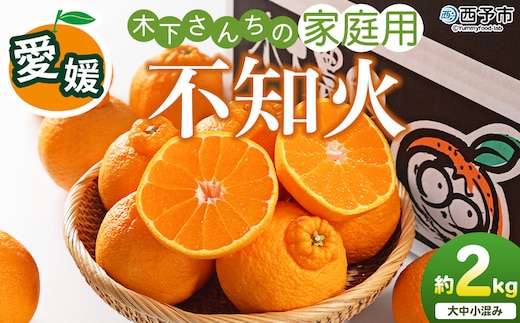 ＜木下さんちの不知火 家庭用 約2kg（大中小混み）＞『2027年3月に順次出荷予定』柑橘 しらぬい でこぽん デコポン ご自宅 みかん ミカン 蜜柑 果物 くだもの フルーツ 果実 特産品 木下農園 西宇和 愛媛県 西予市【常温】