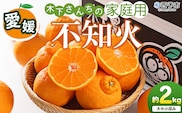 ＜木下さんちの不知火 家庭用 約2kg（大中小混み）＞『2027年3月に順次出荷予定』柑橘 しらぬい でこぽん デコポン ご自宅 みかん ミカン 蜜柑 果物 くだもの フルーツ 果実 特産品 木下農園 西宇和 愛媛県 西予市【常温】