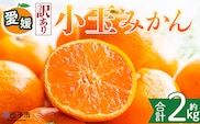 ＜【訳あり】愛媛県産 小玉みかん 約2kg＞『2026年11月上旬～1月下旬迄順次発送予定』 わけあり 訳アリ 濃厚 甘い 小さい こだま みかん 蜜柑 訳あり 果物 くだもの フルーツ ミカン 果汁 国産 特産品 株式会社三代目みかん職人 愛媛 西予市【常温】