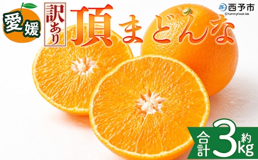 ＜【訳あり】愛媛県産 頂まどんな 約3kg＞『2026年11月下旬～1月上旬迄順次発送予定』 わけあり 訳アリ 甘い とろける 食感 ゼリー食感 マドンナ 高級柑橘 みかん 蜜柑 果物 くだもの フルーツ ミカン 果汁 国産 特産品 株式会社三代目みかん職人 愛媛 西予市【常温】