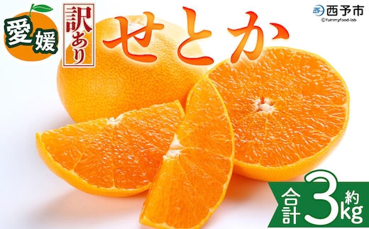 ＜【訳あり】愛媛県産 せとか 約3kg＞『2027年2月中旬～5月下旬迄に順次発送予定』わけあり 訳アリ 甘い みかんの大トロ みかん 蜜柑 果物 くだもの フルーツ ミカン 高級柑橘 とろける 食感 果汁 国産 株式会社三代目みかん職人 愛媛県 西予市【冷蔵】