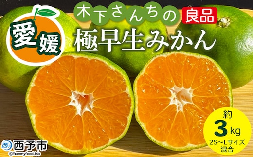 ＜木下さんちの極早生みかん 良品 約3kg（2S～Lサイズ混合）＞『2026年10月に順次出荷予定』柑橘類 ごくわせ 早生ミカン 蜜柑 果物 くだもの フルーツ 甘酸っぱい あまずっぱい 国産 キロ 特産品 木下農園 西宇和 愛媛県 西予市【常温】