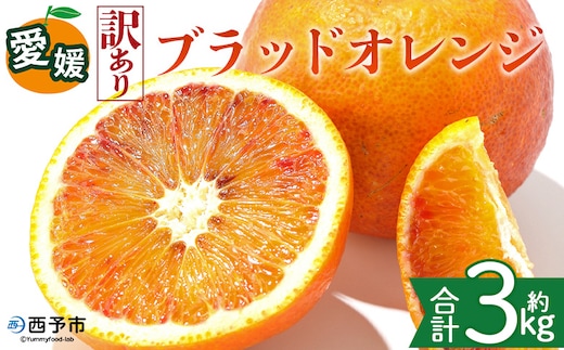 ＜【訳あり】愛媛県産 ブラッドオレンジ 約3kg＞『2027年2月下旬～3月下旬迄順次発送予定』わけあり 訳アリ 果汁 ジューシー みかん 蜜柑 果物 くだもの フルーツ ミカン 果汁 国産 特産品 株式会社三代目みかん職人 愛媛 西予市【冷蔵】