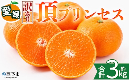 ＜【訳あり】愛媛県産 頂プリンセス 約3kg＞『2027年2月下旬～4月上旬迄に順次発送予定』 わけあり 訳アリ 高級柑橘 こうきゅう みかん 蜜柑 果物 くだもの フルーツ ミカン ぷるぷる とろける 食感 果汁 国産 株式会社三代目みかん職人 愛媛県 西予市【冷蔵】