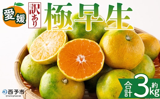 ＜【訳あり】愛媛県産 極早生 約3kg＞『2026年10月上旬～11月下旬迄順次発送予定』わけあり 訳アリ あまずっぱい 甘酸っぱい ごくわせ みかん 蜜柑 訳あり 果物 くだもの フルーツ ミカン 果汁 国産 特産品 株式会社三代目みかん職人 愛媛 西予市【常温】