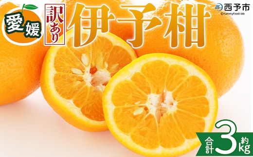 ＜【訳あり】愛媛県産 伊予柑 約3kg＞『2027年1月上旬～3月下旬迄順次発送予定』わけあり 訳アリ 果肉 いよかん ジューシー みかん 蜜柑 果物 くだもの フルーツ ミカン 果汁 国産 特産品 株式会社三代目みかん職人 愛媛 西予市【常温】