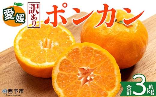 ＜【訳あり】愛媛県産 ポンカン 約3kg＞『2027年1月上旬～3月上旬迄順次発送予定』 わけあり 訳アリ 果肉 ぽんかん ジューシー みかん 蜜柑 果物 くだもの フルーツ ミカン 果汁 国産 特産品 株式会社三代目みかん職人 愛媛 西予市【常温】