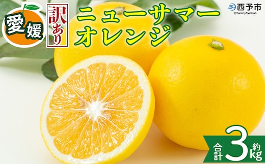 ＜【訳あり】愛媛県産 ニューサマーオレンジ 約3kg＞『2027年4月上旬～5月中旬迄順次発送予定』 わけあり 訳アリ ジューシー 日向夏 みかん 蜜柑 果物 くだもの フルーツ ミカン 果汁 国産 特産品 株式会社三代目みかん職人 愛媛 西予市【冷蔵】