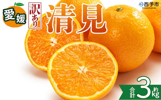＜【訳あり】愛媛県産 清見 約3kg＞『2027年2月上旬～4月下旬迄順次発送予定』 わけあり ジューシー 果肉 訳アリ きよみ みかん 柑橘 蜜柑 果物 くだもの フルーツ ミカン 果汁 国産 特産品 株式会社三代目みかん職人 愛媛 西予市【常温】