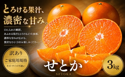 ＜訳あり 愛媛県産せとか 合計約3kg＞『2027年2月上旬～5月上旬迄に順次出荷予定』 セトカ とろける 甘い ご家庭用 果汁 果物 くだもの フルーツ みかん オレンジ 柑橘 人気柑橘 特産品 株式会社OSN 愛媛県 西予市 【常温】