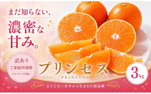 ＜訳あり 愛媛県産プリンセス 合計約3kg＞『2027年2月下旬～3月下旬迄に順次出荷予定』 幻の柑橘 希少種 甘い あまい 果汁 果物 くだもの フルーツ みかん オレンジ 柑橘 人気柑橘 特産品 株式会社OSN 愛媛県 西予市 【常温】