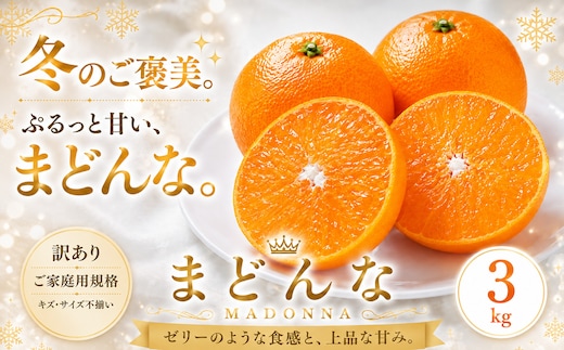 ＜訳あり 愛媛県産まどんな 合計約3kg＞『2026年11月下旬～1月下旬迄に順次出荷予定』 マドンナ ぷるぷる 食感 甘い ご家庭用 果汁 果物 くだもの フルーツ みかん オレンジ 柑橘 人気柑橘 特産品 株式会社OSN 愛媛県 西予市 【常温】