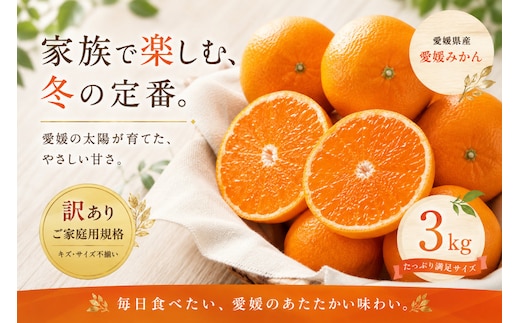 ＜訳あり 愛媛県産みかん 合計約3kg＞『2026年10月下旬～1月下旬迄に順次出荷予定』 ミカン 蜜柑 食感 甘い ご家庭用 果汁 果物 くだもの フルーツ みかん オレンジ 柑橘 人気柑橘 特産品 株式会社OSN 愛媛県 西予市 【常温】