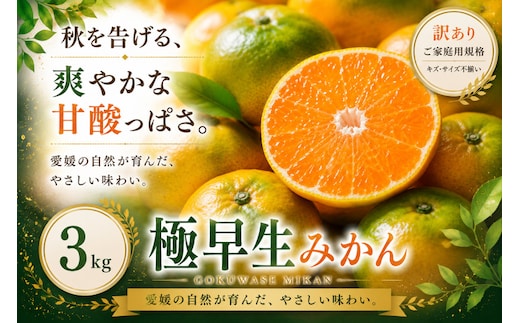 ＜訳あり 愛媛県産極早生みかん 合計約3kg＞『2026年9月下旬～11月上旬迄に順次出荷予定』ごくわせ ミカン 蜜柑 食感 甘い ご家庭用 果汁 果物 くだもの フルーツ オレンジ 柑橘 人気柑橘 特産品 株式会社OSN 愛媛県 西予市 【常温】