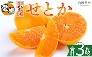 ＜【訳あり】愛媛県産 せとか 約3kg＞『2027年2月中旬～5月下旬迄に順次発送予定』わけあり 訳アリ 甘い みかんの大トロ みかん 蜜柑 果物 くだもの フルーツ ミカン 高級柑橘 とろける 食感 果汁 国産 株式会社三代目みかん職人 愛媛県 西予市【冷蔵】