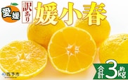 ＜【訳あり】愛媛県産 媛小春 約3kg＞『2027年2月上旬～3月下旬迄順次発送予定』わけあり 訳アリ 希少品種 ひめこはる 高級柑橘 みかん 蜜柑 果物 くだもの フルーツ ミカン 果汁 国産 特産品 株式会社三代目みかん職人 愛媛 西予市【冷蔵】