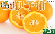 ＜【訳あり】愛媛県産 伊予柑 約3kg＞『2027年1月上旬～3月下旬迄順次発送予定』わけあり 訳アリ 果肉 いよかん ジューシー みかん 蜜柑 果物 くだもの フルーツ ミカン 果汁 国産 特産品 株式会社三代目みかん職人 愛媛 西予市【常温】