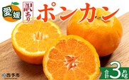 ＜【訳あり】愛媛県産 ポンカン 約3kg＞『2027年1月上旬～3月上旬迄順次発送予定』 わけあり 訳アリ 果肉 ぽんかん ジューシー みかん 蜜柑 果物 くだもの フルーツ ミカン 果汁 国産 特産品 株式会社三代目みかん職人 愛媛 西予市【常温】