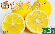 ＜【訳あり】愛媛県産 はるか 約3kg＞『2027年2月中旬～3月上旬迄順次発送予定』わけあり 訳アリ 果肉 ハルカ 産地直送 みかん 蜜柑 訳あり 果物 くだもの フルーツ ミカン 果汁 国産 特産品 株式会社三代目みかん職人 愛媛 西予市【常温】
