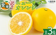 ＜【訳あり】愛媛県産 ニューサマーオレンジ 約3kg＞『2027年4月上旬～5月中旬迄順次発送予定』 わけあり 訳アリ ジューシー 日向夏 みかん 蜜柑 果物 くだもの フルーツ ミカン 果汁 国産 特産品 株式会社三代目みかん職人 愛媛 西予市【冷蔵】