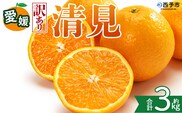 ＜【訳あり】愛媛県産 清見 約3kg＞『2027年2月上旬～4月下旬迄順次発送予定』 わけあり ジューシー 果肉 訳アリ きよみ みかん 柑橘 蜜柑 果物 くだもの フルーツ ミカン 果汁 国産 特産品 株式会社三代目みかん職人 愛媛 西予市【常温】