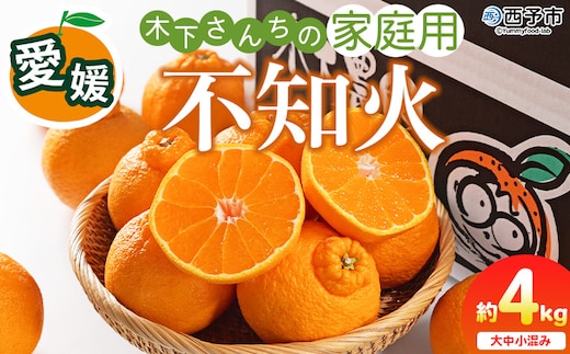 ＜木下さんちの不知火 家庭用 約4kg（大中小混み）＞『2027年3月に順次出荷予定』柑橘 しらぬい でこぽん デコポン ご自宅 みかん ミカン 蜜柑 果物 くだもの フルーツ 果実 特産品 木下農園 西宇和 愛媛県 西予市【常温】