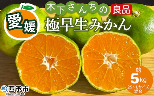 ＜木下さんちの極早生みかん 良品 約5kg（2S～Lサイズ混合）＞『2026年10月に順次出荷予定』柑橘類 ごくわせ 早生ミカン 蜜柑 果物 くだもの フルーツ 甘酸っぱい あまずっぱい 国産 キロ 特産品 木下農園 西宇和 愛媛県 西予市【常温】