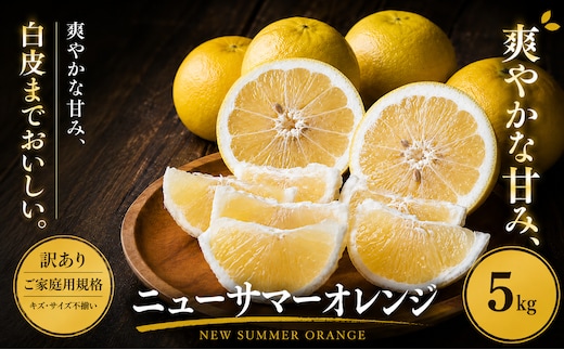 ＜訳あり 愛媛県産ニューサマーオレンジ 合計約5kg＞『2027年4月中旬～5月下旬迄に順次出荷予定』 日向夏 小夏 甘い ご家庭用 果汁 果物 くだもの フルーツ みかん オレンジ 柑橘 人気柑橘 特産品 株式会社OSN 愛媛県 西予市 【常温】