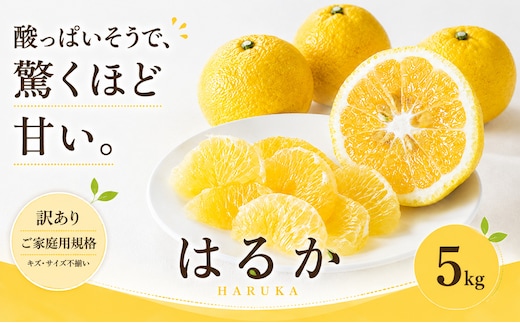 ＜訳あり 愛媛県産はるか 合計約5kg＞『2027年2月上旬～3月下旬迄に順次出荷予定』 上品な甘さ 甘い あまい 果汁 果物 くだもの フルーツ みかん オレンジ 柑橘 人気柑橘 特産品 株式会社OSN 愛媛県 西予市 【常温】