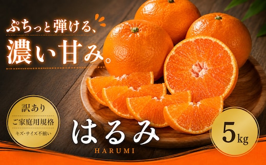 ＜訳あり 愛媛県産はるみ 合計約5kg＞『2027年2月上旬～3月下旬迄に順次出荷予定』甘い ご家庭用 果汁 果物 くだもの フルーツ みかん オレンジ 柑橘 人気柑橘 特産品 株式会社OSN 愛媛県 西予市 【常温】