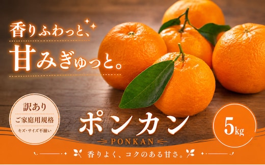 ＜訳あり 愛媛県産ポンカン 合計約5kg＞『2027年1月上旬～3月上旬迄に順次出荷予定』 ジューシー 甘い ご家庭用 果汁 果物 くだもの フルーツ みかん オレンジ 柑橘 人気柑橘 特産品 株式会社OSN 愛媛県 西予市 【常温】