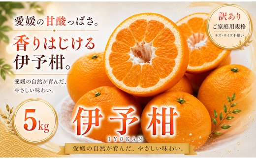 ＜訳あり 愛媛県産伊予柑 合計約5kg＞『2027年1月上旬～2月下旬迄に順次出荷予定』 爽やか いよかん ジューシー 甘い あまい 果汁 果物 くだもの フルーツ みかん オレンジ 柑橘 人気柑橘 特産品 株式会社OSN 愛媛県 西予市 【常温】
