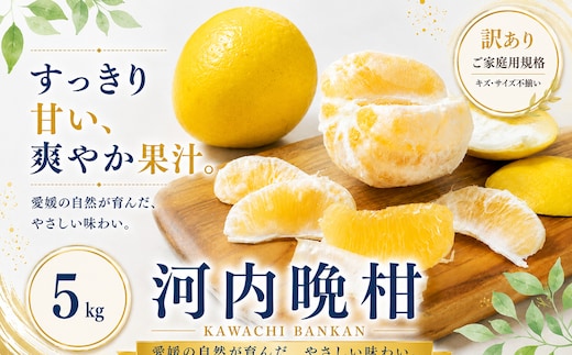 ＜訳あり 愛媛県産河内晩柑 合計約5kg＞『2027年3月下旬～7月上旬迄に順次出荷予定』 かわちばんかん ジューシー 甘い あまい 果汁 果物 くだもの フルーツ みかん オレンジ 柑橘 人気柑橘 特産品 株式会社OSN 愛媛県 西予市 【常温】
