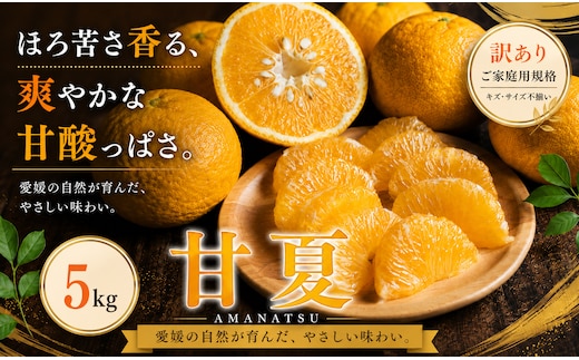 ＜訳あり 愛媛県産甘夏 合計約5kg＞『2027年3月下旬～4月下旬迄に順次出荷予定』あまなつ 甘酸っぱい あまずっぱい ご家庭用 果汁 果物 くだもの フルーツ みかん オレンジ 柑橘 人気柑橘 特産品 株式会社OSN 愛媛県 西予市 【常温】