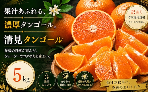 ＜訳あり 愛媛県産清見タンゴール 合計約5kg＞『2027年3月上旬～4月下旬迄に順次出荷予定』 濃厚 甘い ご家庭用 果汁 果物 くだもの フルーツ みかん オレンジ 柑橘 人気柑橘 特産品 株式会社OSN 愛媛県 西予市 【常温】