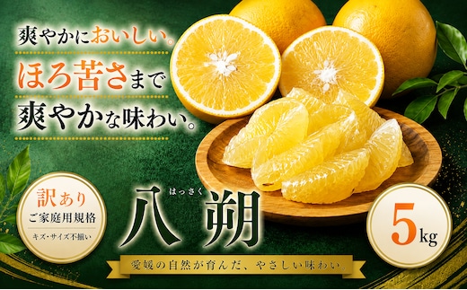 ＜訳あり 愛媛県産八朔 合計約5kg＞『2027年2月上旬～3月下旬迄に順次出荷予定』ご家庭用 爽やか 果汁 果物 はっさく くだもの フルーツ みかん オレンジ 柑橘 人気柑橘 特産品 株式会社OSN 愛媛県 西予市 【常温】