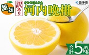 ＜【訳あり】愛媛県産 河内晩柑 約5kg＞『2026年4月上旬～8月下旬迄に順次発送予定』わけあり 訳アリ みずみずしい 和製グレープフルーツ かわちばんかん みかん 蜜柑 果物 くだもの フルーツ ミカン 愛媛 国産 特産品 株式会社三代目みかん職人 愛媛県 西予市【冷蔵】