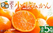 ＜【訳あり】愛媛県産 小玉みかん 約5kg＞『2026年11月上旬～1月下旬迄順次発送予定』 わけあり 訳アリ 濃厚 甘い 小さい こだま みかん 蜜柑 訳あり 果物 くだもの フルーツ ミカン 果汁 国産 特産品 株式会社三代目みかん職人 愛媛 西予市【常温】