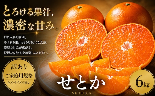 ＜訳あり 愛媛県産せとか 合計約6kg＞『2027年2月上旬～5月上旬迄に順次出荷予定』 セトカ とろける 甘い ご家庭用 果汁 果物 くだもの フルーツ みかん オレンジ 柑橘 人気柑橘 特産品 株式会社OSN 愛媛県 西予市 【常温】
