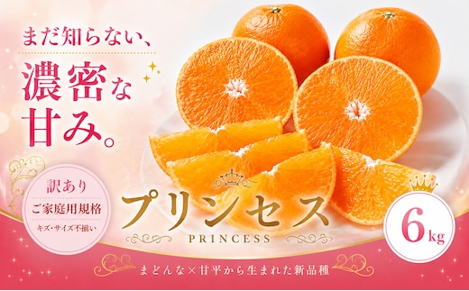 ＜訳あり 愛媛県産プリンセス 合計約6kg＞『2027年2月下旬～3月下旬迄に順次出荷予定』 幻の柑橘 希少種 甘い あまい 果汁 果物 くだもの フルーツ みかん オレンジ 柑橘 人気柑橘 特産品 株式会社OSN 愛媛県 西予市 【常温】