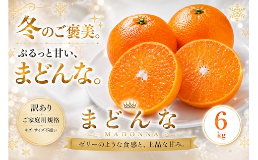 ＜訳あり 愛媛県産まどんな 合計約6kg＞『2026年11月下旬～1月下旬迄に順次出荷予定』 マドンナ ぷるぷる 食感 甘い ご家庭用 果汁 果物 くだもの フルーツ みかん オレンジ 柑橘 人気柑橘 特産品 株式会社OSN 愛媛県 西予市 【常温】