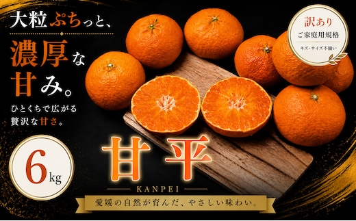 ＜訳あり 愛媛県産甘平 合計約6kg＞『2027年1月下旬～3月上旬迄に順次出荷予定』かんぺい 希少種 甘い ご家庭用 果汁 果物 くだもの フルーツ みかん オレンジ 柑橘 人気柑橘 特産品 株式会社OSN 愛媛県 西予市 【常温】