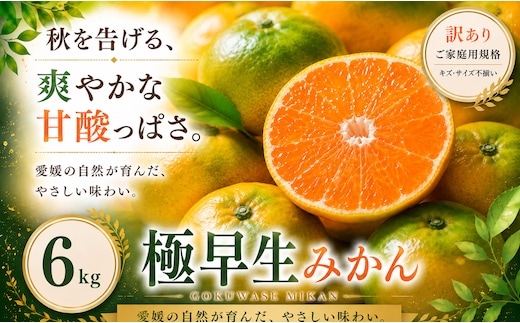 ＜訳あり 愛媛県産極早生みかん 合計約6kg＞『2026年9月下旬～11月上旬迄に順次出荷予定』ごくわせ ミカン 蜜柑 食感 甘い ご家庭用 果汁 果物 くだもの フルーツ オレンジ 柑橘 人気柑橘 特産品 株式会社OSN 愛媛県 西予市 【常温】
